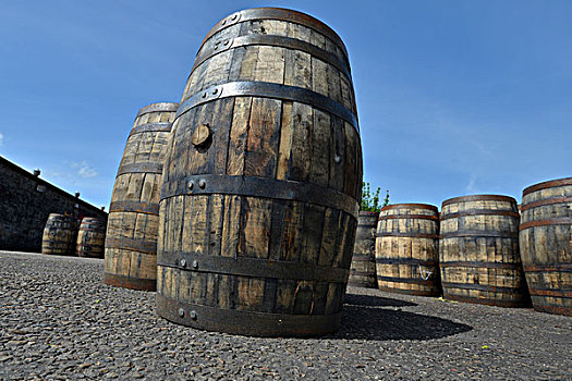 威士忌,北美,等待,苏格兰威士忌,一个,麦芽,威士忌酒,酿酒厂,北方,高地,苏格兰,英国,欧洲