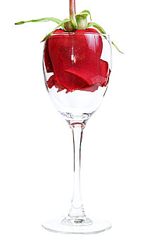 红玫瑰,玻璃杯,高脚杯