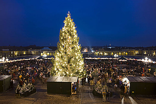奥地利,维也纳,宫殿,圣诞市场,圣诞树,全景