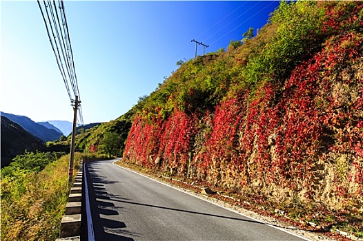 乡村公路