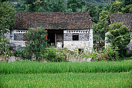 贵州传统建筑