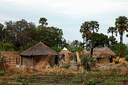 非洲,博茨瓦纳,奥卡万戈三角洲,乡村,家,建筑
