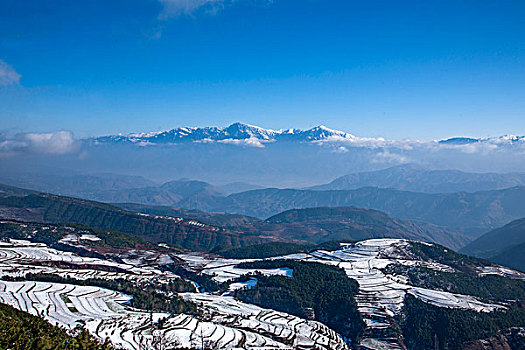 云南东川红土地,打马坎,雪后梯田