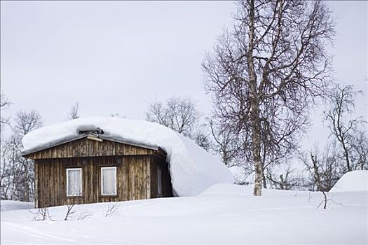 积雪,小屋,瑞典