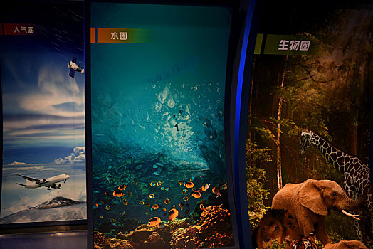 河北省张家口地质博物馆以及主题展览的一部分展品