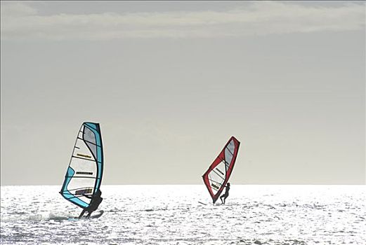 帆板,富埃特文图拉岛,加纳利群岛,西班牙,欧洲