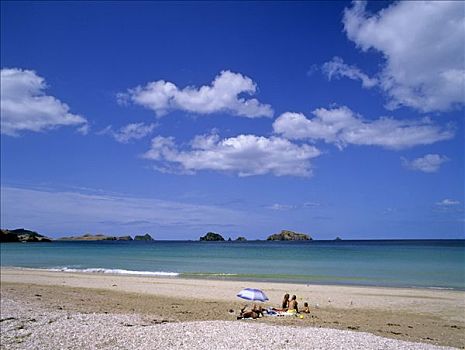 沙滩,海洋,北岛,新西兰