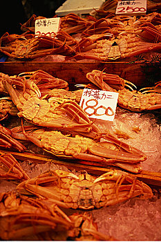 新鲜,蟹肉,市场,神户,西部,本州,日本