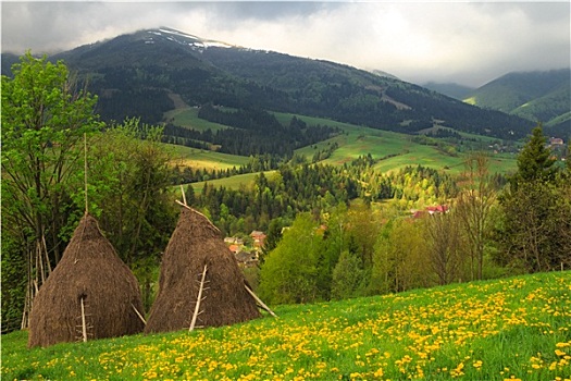 春景,喀尔巴阡山脉地区