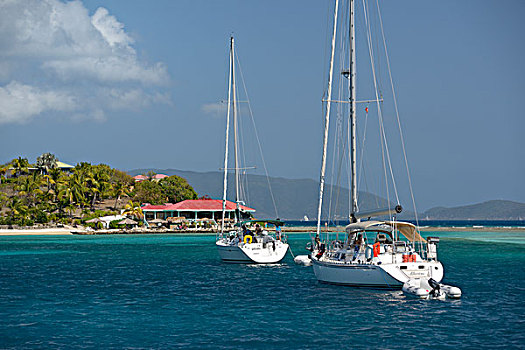 加勒比,英属维京群岛,码头,帆船,锚,正面,餐馆,大幅,尺寸