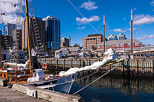 帆船,港口,城市,哈利法克斯,新斯科舍省,加拿大
