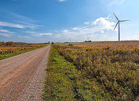 长,道路,可持续能源