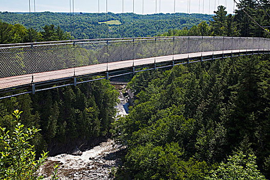 悬吊,步行桥,高处,河,峡谷,魁北克,加拿大