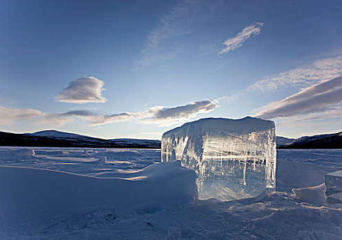清晰,冰块,冰冻,鱼,湖,抠像,链锯,育空地区,加拿大