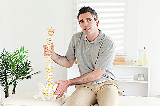 脊椎按摩师,模型,脊椎