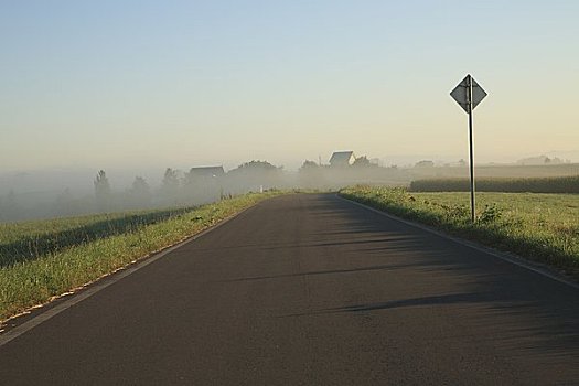 道路,晨雾