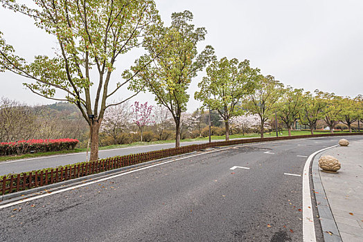 南京,景区,道路,汽车,背景