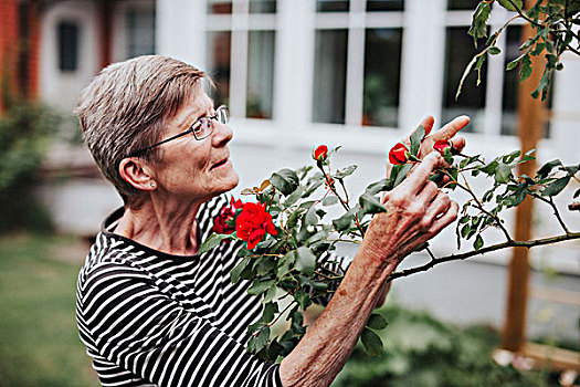 老年,女人,花园