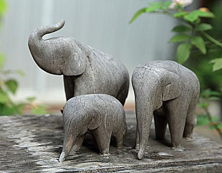 大象的一家