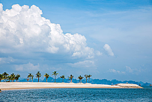 越南广宁鸿基市下龙湾游船接待中心码头防波堤坝上的一排椰林