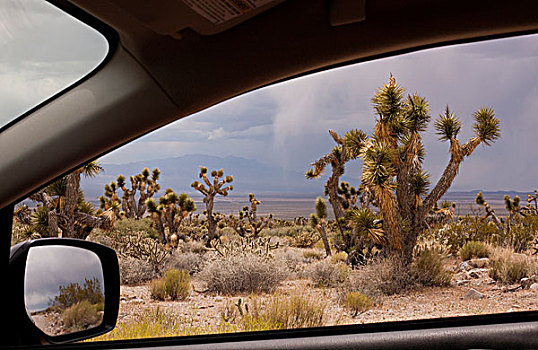 风景,约书亚树,车窗,雪谷州立公园,犹他,美国