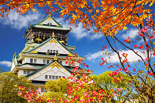 漂亮,大阪城,大阪,美好,背景,日本