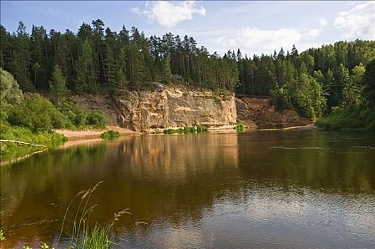 河,砂岩,悬崖,国家公园,里加,拉脱维亚,波罗的海国家,欧洲