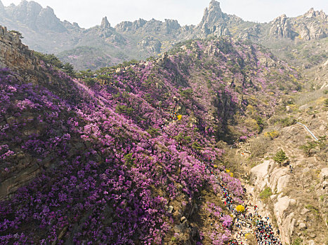 山东省青岛大珠山景区航拍图片