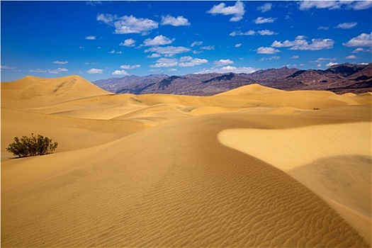 沙丘,沙漠,死亡谷国家公园