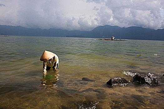 捕鱼,湖,苏门答腊岛,印度尼西亚