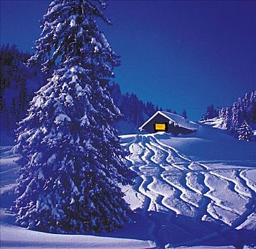 房子,雪,木屋,滑雪轨迹,冬天,晚间,欧洲,假日