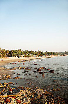 石头,海滩,果阿,印度