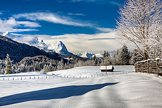 乡村,山,冬天,上巴伐利亚,巴伐利亚,德国