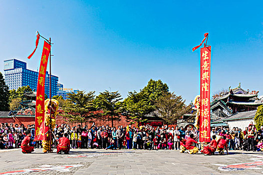 醒狮,舞狮,春节,中国文化
