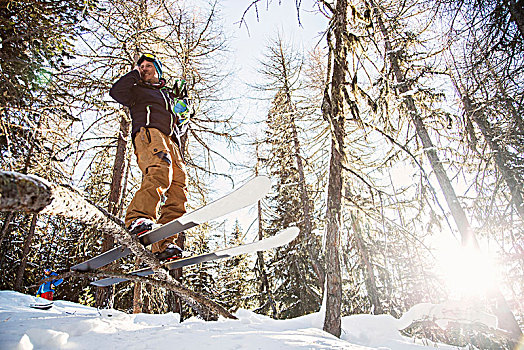 滑雪,穿,平衡性,树上,仰视