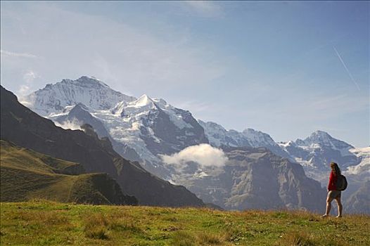 瑞士,伯恩高地,游客,注视,艾格尔峰,少女峰,山脉