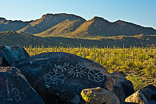 岩刻,信号,山,萨瓜罗国家公园,亚利桑那,美国