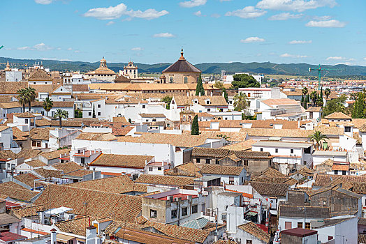 风景,屋顶,大教堂,科多巴,安达卢西亚,西班牙,欧洲