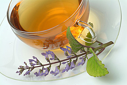 茶,藥茶
