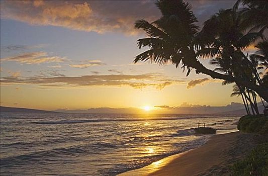 夏威夷,毛伊岛,卡亚纳帕里,胜地,日落,海滩,棕榈树
