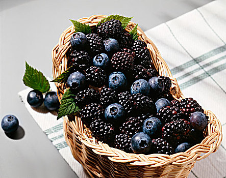 篮子,黑莓,越桔