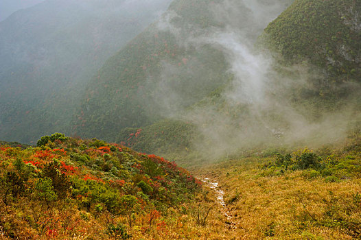 巫山云雾