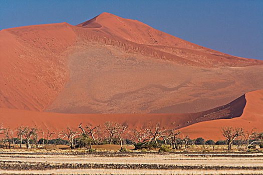 沙丘,索苏维来地区,国家公园,纳米比亚
