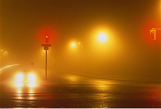 街道,交叉,雾,多伦多,安大略省,加拿大