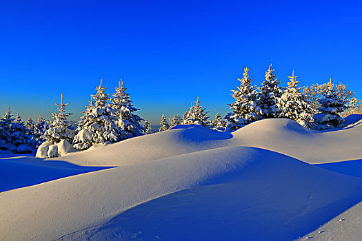 吉林省仙峰国家森林公园的雪景