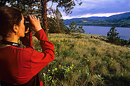观鸟,湖,不列颠哥伦比亚省,加拿大