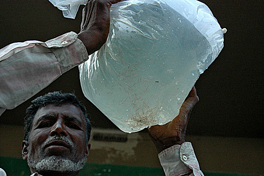 虾,蛋,就绪,销售,市场,地区,库尔纳市,分开,孟加拉,2007年