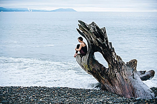 成年,女人,坐,大,浮木,树干,海滩
