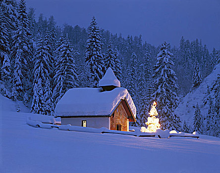 德国,上巴伐利亚,艾尔茂,小教堂,圣诞树,光亮