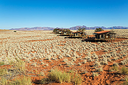 木制屋舍,奢华,沙丘,住宿,漂亮,沙漠,边缘,纳米布沙漠,自然保护区,纳米比亚,非洲
